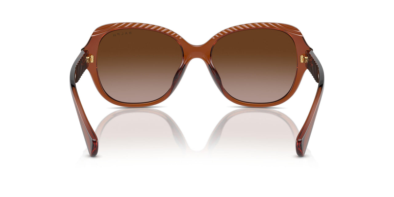 614913 - Brown - Gradient Brown