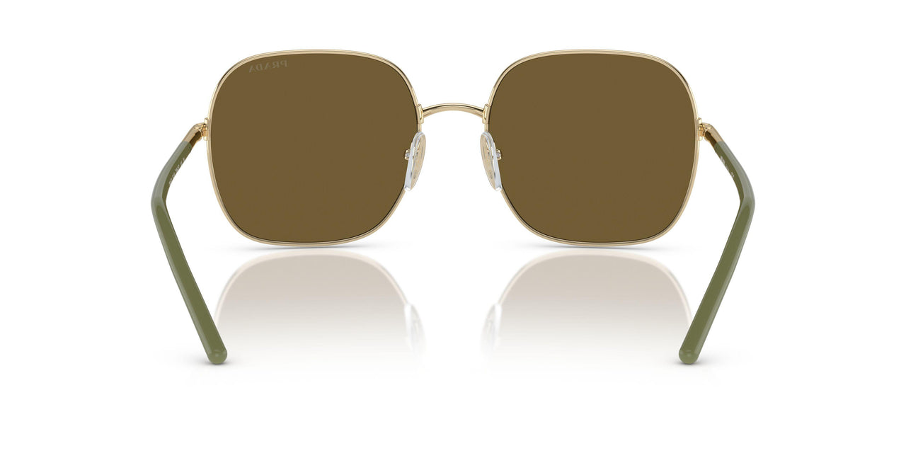 ZVN01T - Gold - Dark Brown