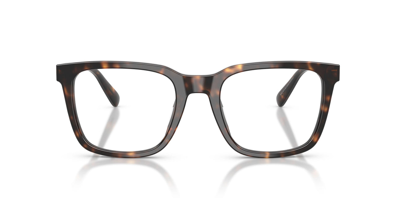 5120 - Tortoise
