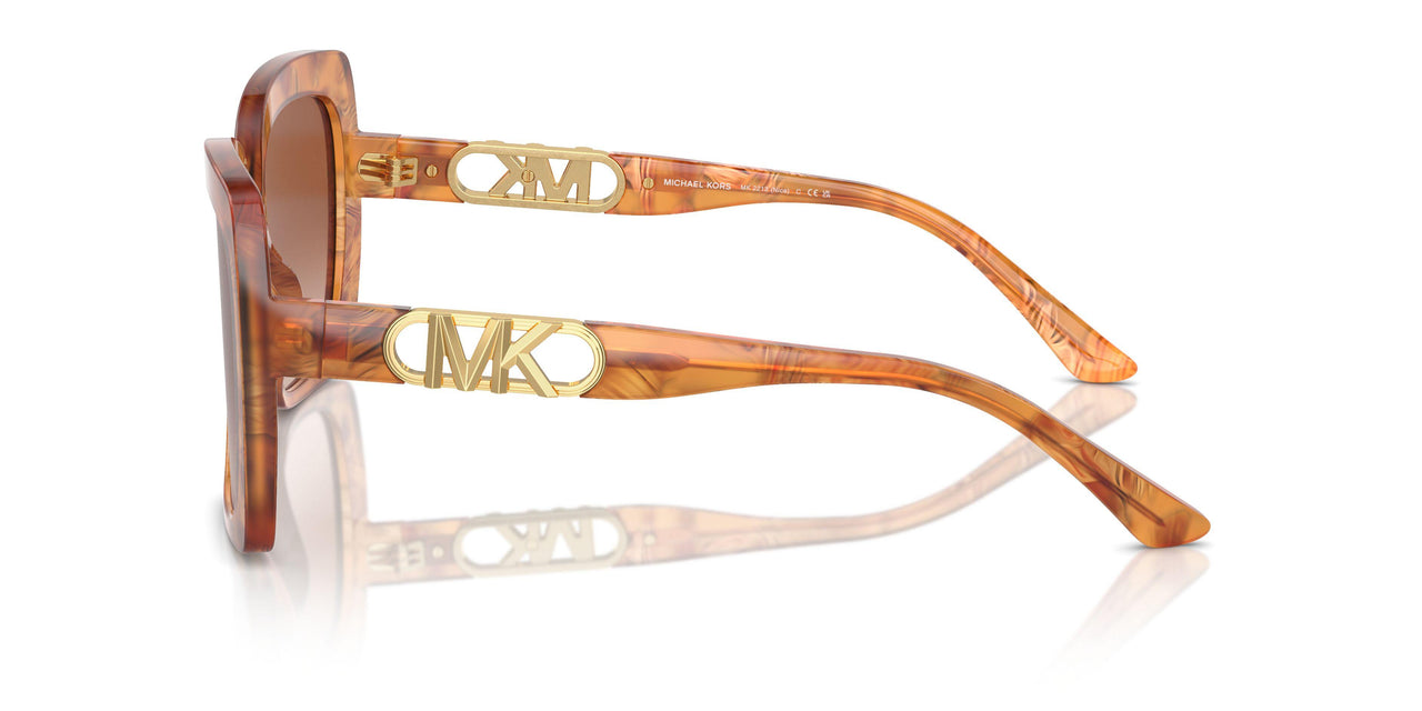 399913 - Brown - Light Brown Gradient