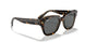 1292B1 - Havana - Dark Grey