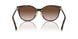 80153B - Tortoise - Brown Gradient