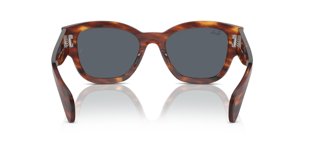 954/R5 - Brown - Blue
