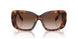 331613 - Tortoise - Brown Gradient