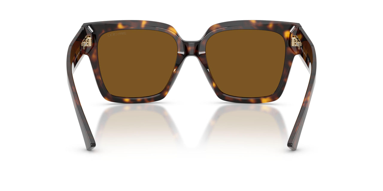 500283 - Tortoise - Polarized Brown