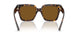 500283 - Tortoise - Polarized Brown
