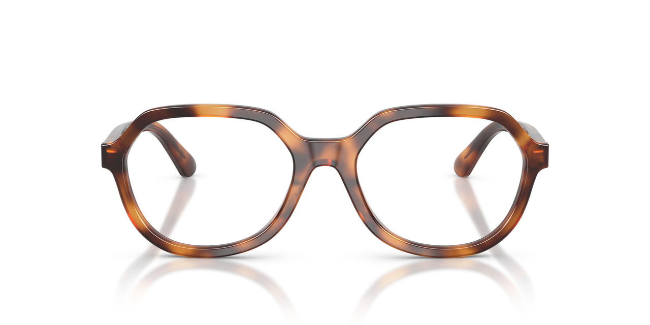 6355 - Tortoise