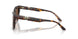 502673 - Tortoise - Brown