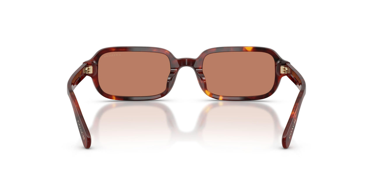 593873 - Tortoise - Light Brown Solid