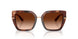 322274 - Tortoise - Brown Gradient