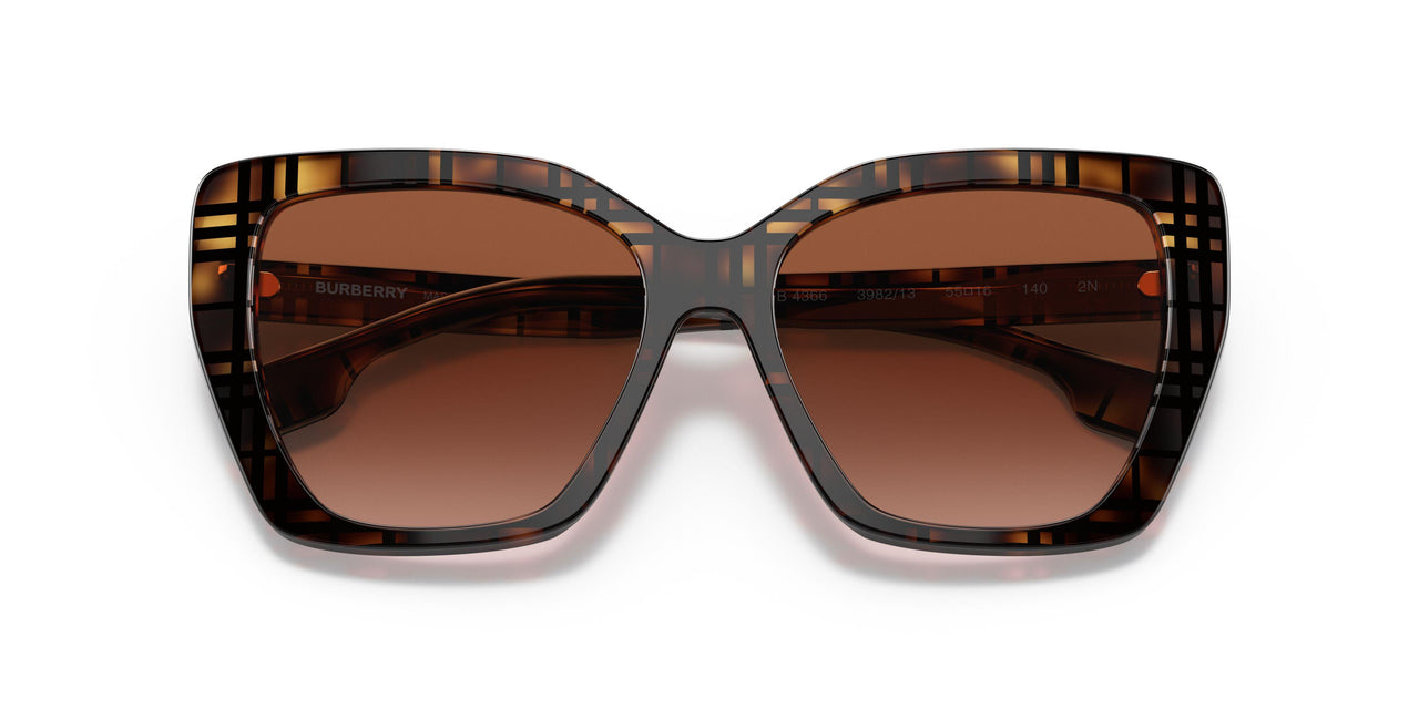 398213 - Brown - Brown Gradient