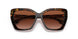 398213 - Brown - Brown Gradient