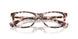 6058 - Tortoise