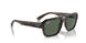 135971 - Tortoise - Dark Blue