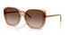 318113 - Brown - Gradient Dark Brown