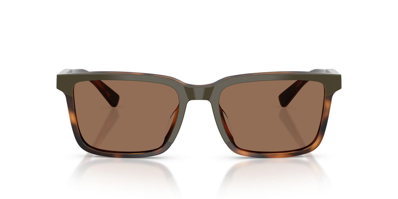 607573 - Green - Dark Brown
