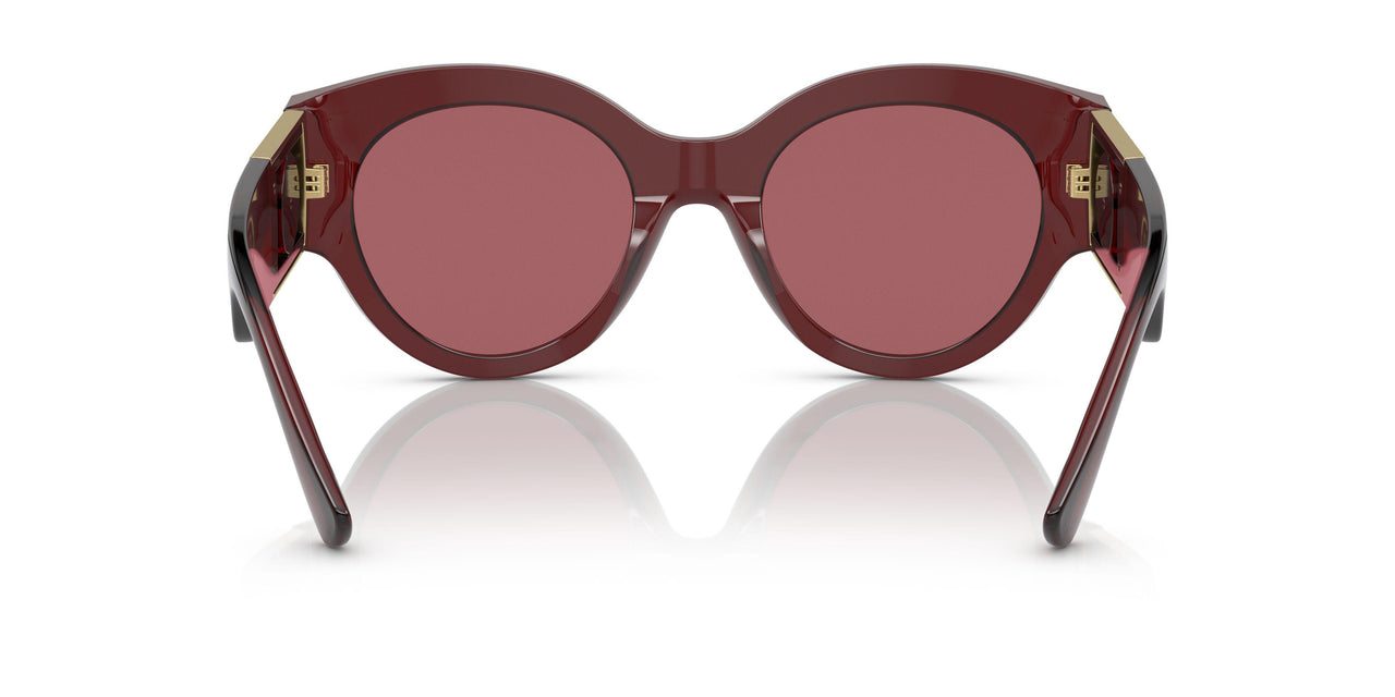 538569 - Red - Dark Violet