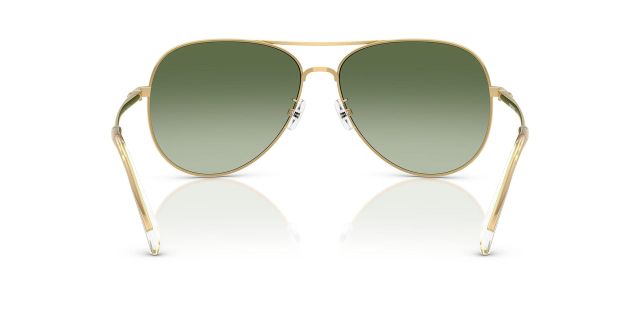 33438E - Yellow - Green Gradient
