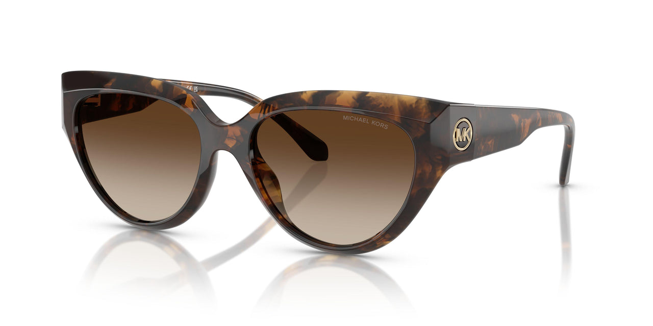 300613 - Tortoise - Smoke Gradient