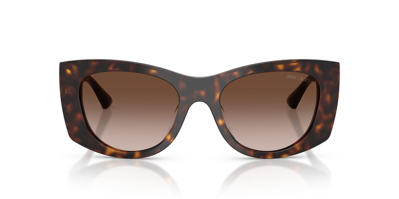 500213 - Tortoise - Brown Gradient