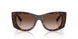 500213 - Tortoise - Brown Gradient