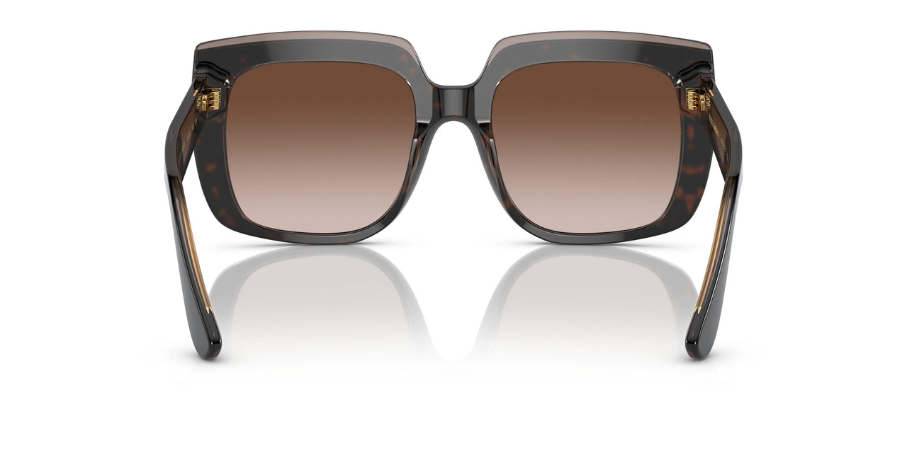 502/13 - Havana - Gradient Brown