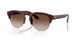 622113 - Red - Gradient Brown