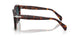 24/S3 - Tortoise - Light Blue Gradient Dark Blue