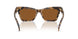 393073 - Tortoise - Amber