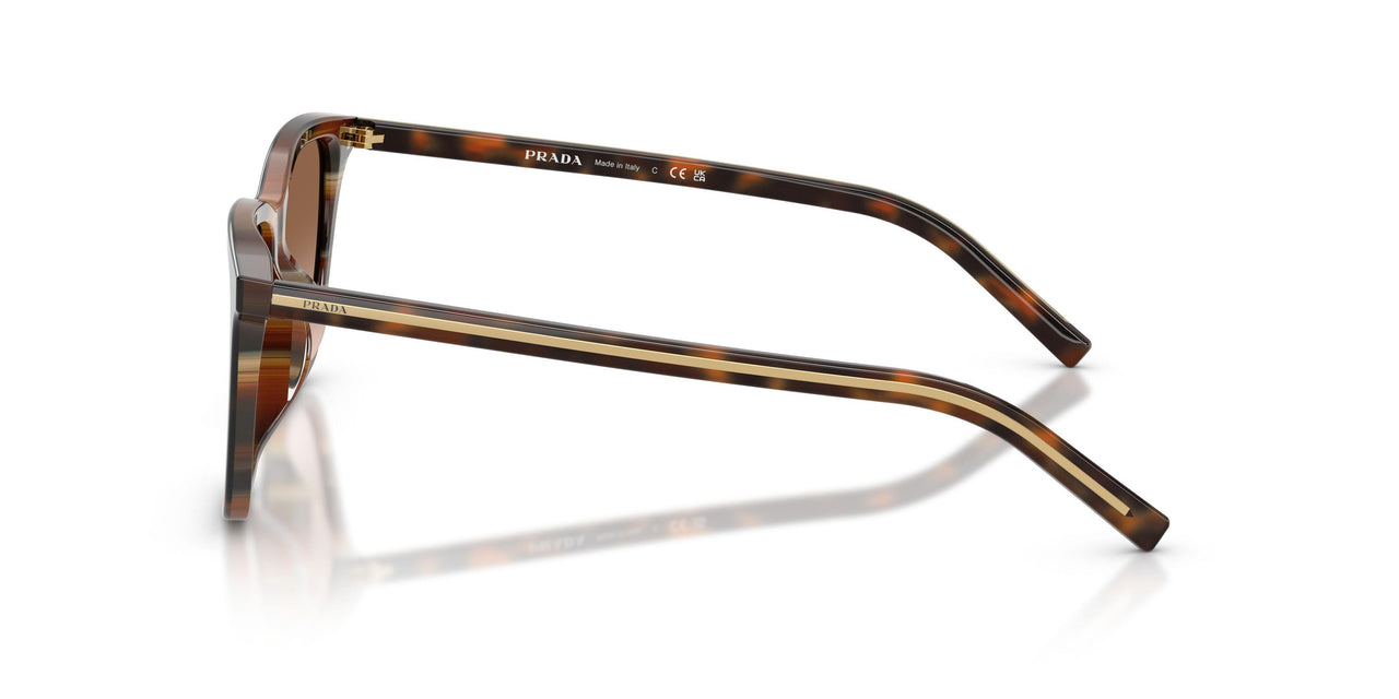 20P90P - Tortoise - Brown Gradient