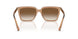 507613 - Brown - Brown Gradient