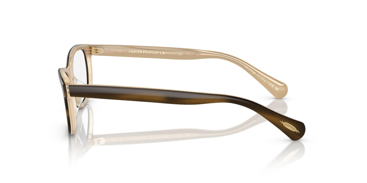 1281 - Brown