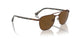114857 - Brown - Polar Brown