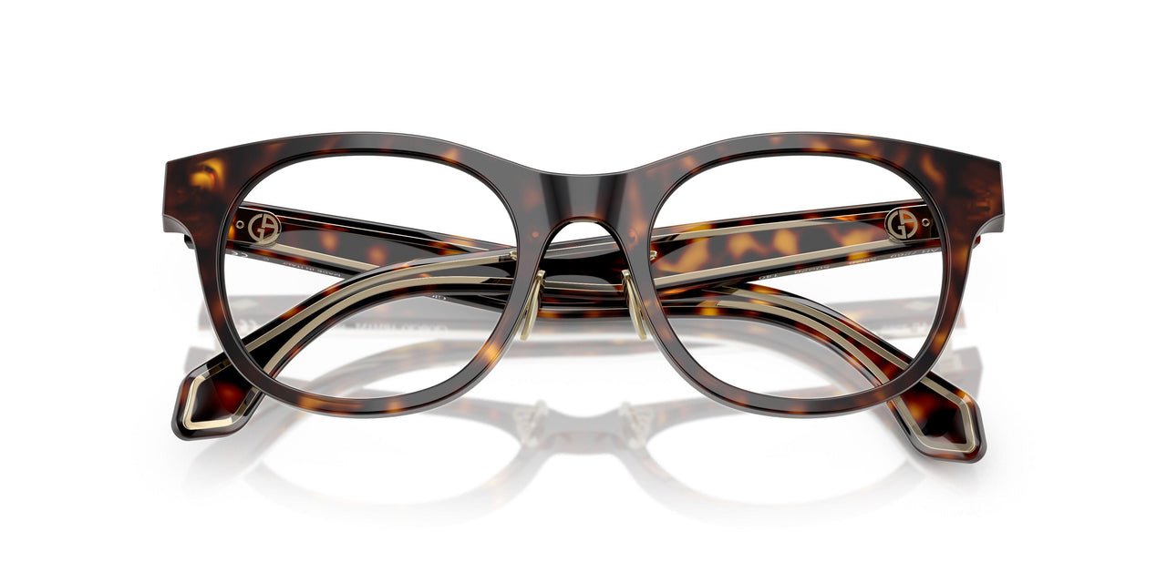 5026 - Tortoise
