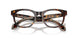 5026 - Tortoise