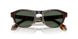 502671 - Tortoise - Dark Green