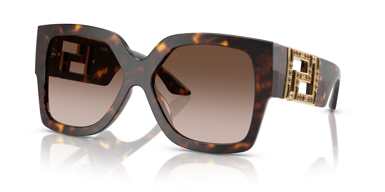 108/13 - Tortoise - Brown Gradient