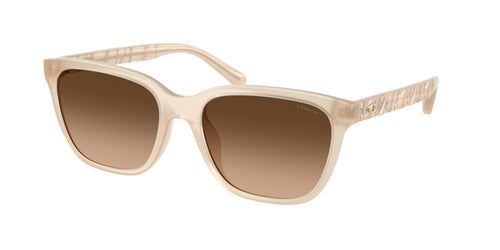 Coach Cae86 8429D Sunglasses