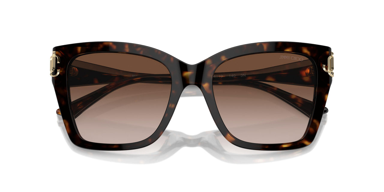 500213 - Tortoise - Gradient Brown