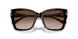 500213 - Tortoise - Gradient Brown
