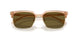 551883 - Brown - Dark Brown