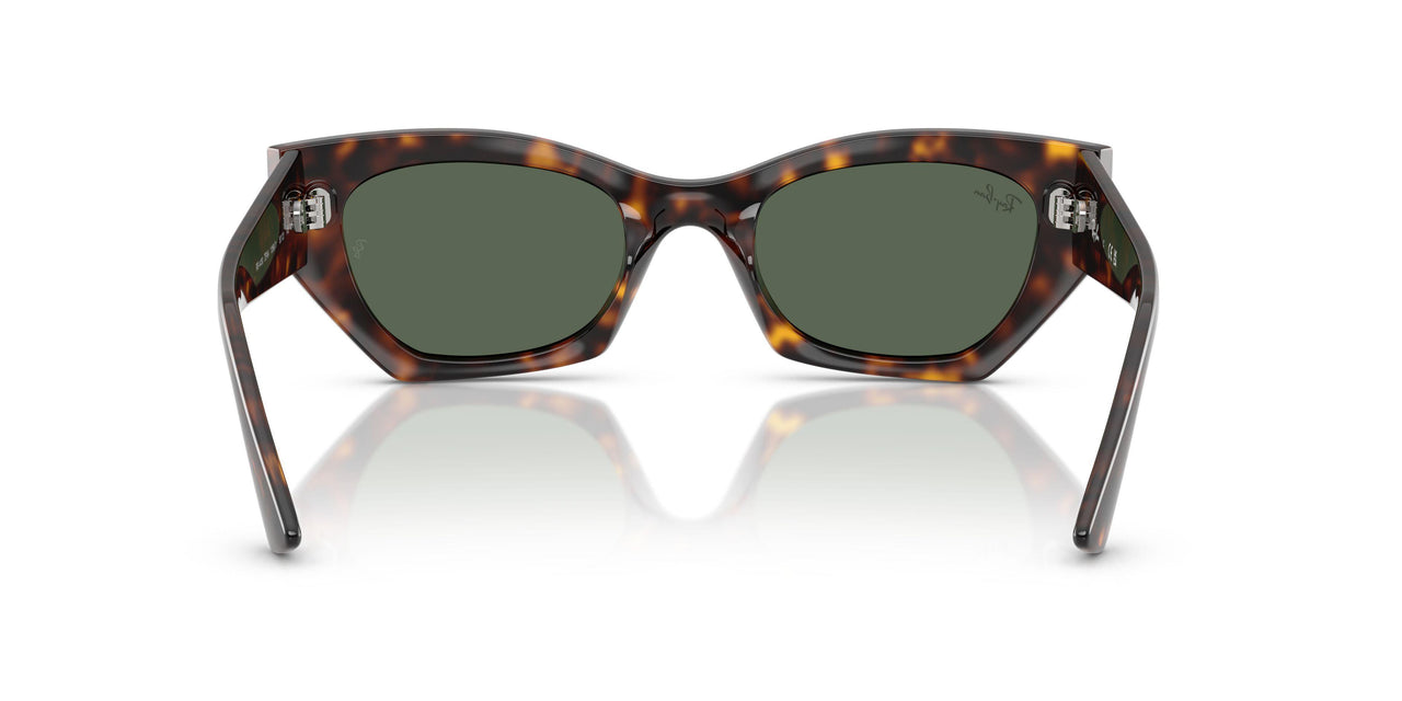 135971 - Tortoise - Dark Green
