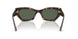135971 - Tortoise - Dark Green