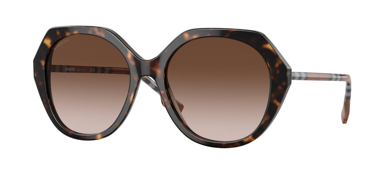 401713 - Havana - Brown Gradient