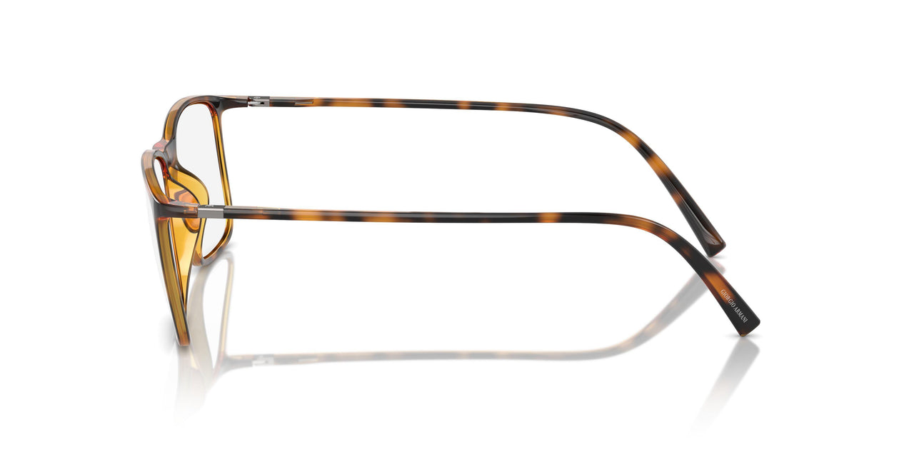 5026 - Tortoise