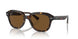 902/57 - Tortoise - Brown