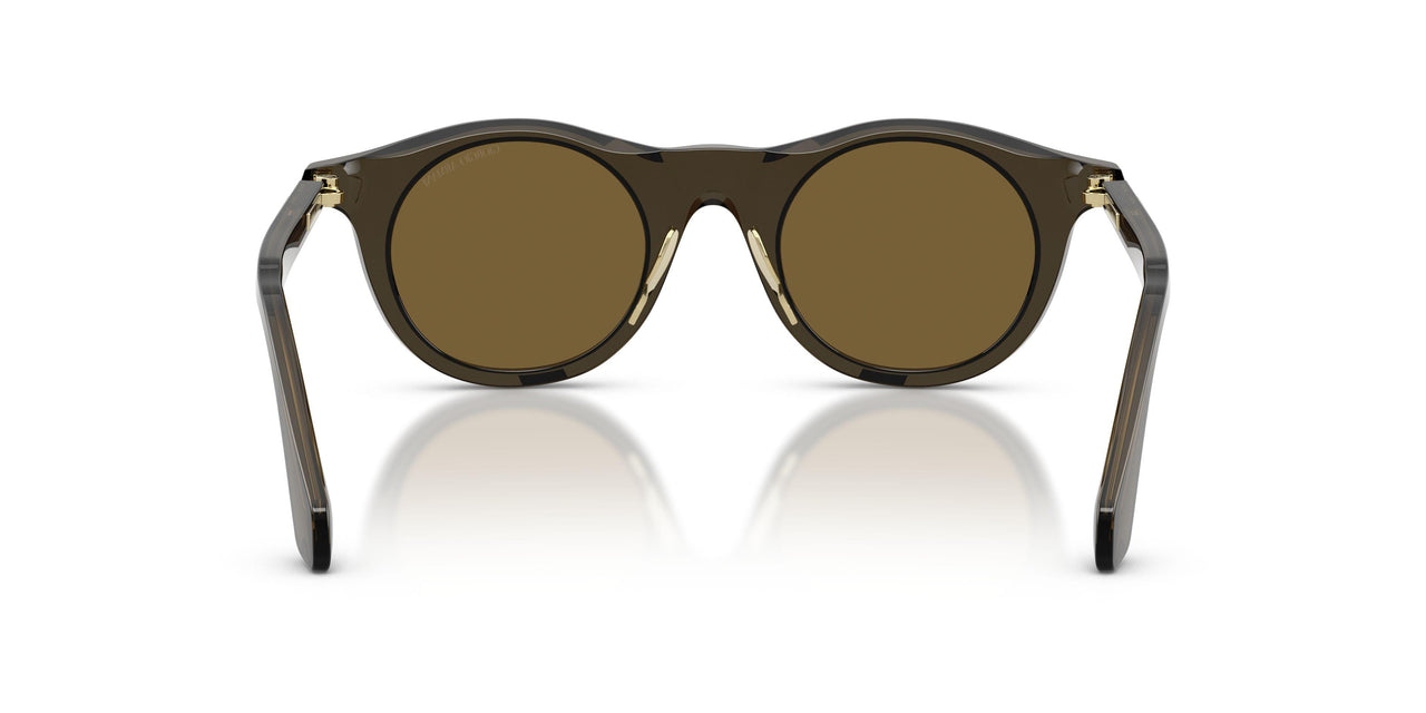 641973 - Green - Dark Brown