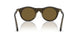 641973 - Green - Dark Brown