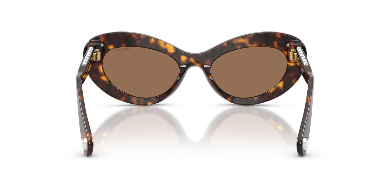 100273 - Tortoise - Dark Brown