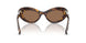 100273 - Tortoise - Dark Brown